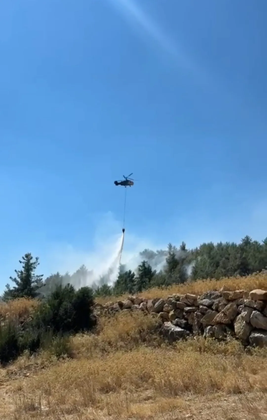 Bucak'ta kızılçam ormanları alevlere teslim oldu