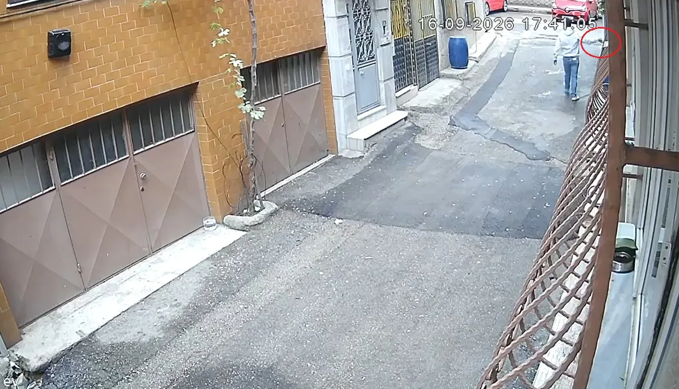 Bursa'da vicdanları sızlatan anlar: Sokak hayvanlarının mama kaplarını çöpe attılar