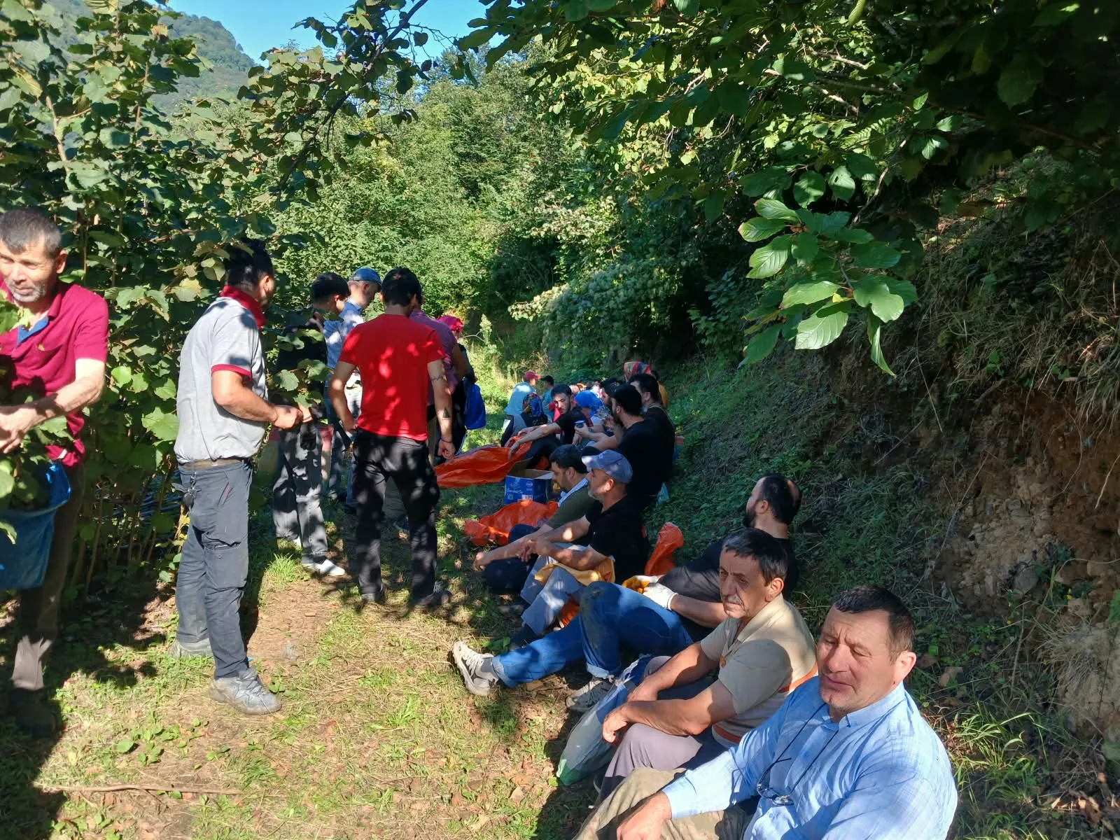 Acı dolu bahçede dayanışma vakti: Mahalleli, hayatını kaybeden kardeşlerin yarım kalan hasadını tamamladı