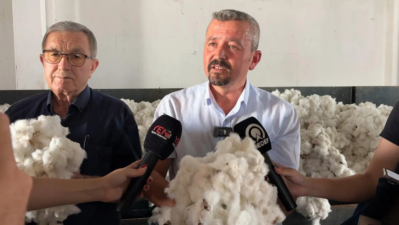 Aydın topraklarında beyaz altın heyecanı: İlk mahsul üreticinin yüzünü güldürdü