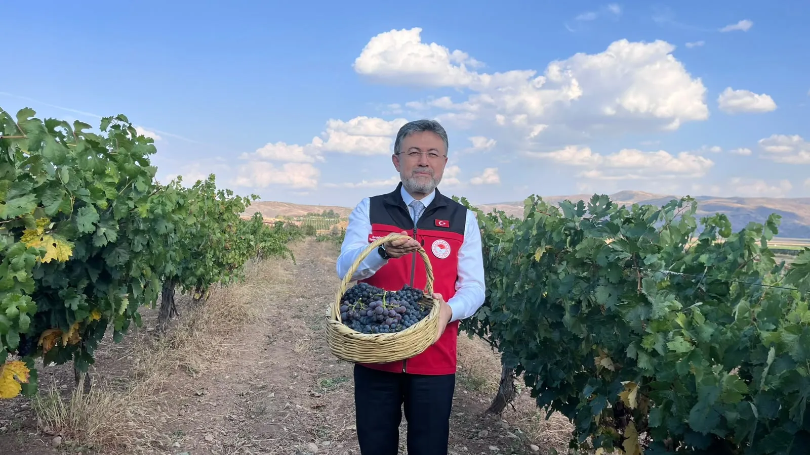Üzüm bağlarında yüzleri güldüren rekolte: Bakan Yumaklı'dan devasa üretim tahmini