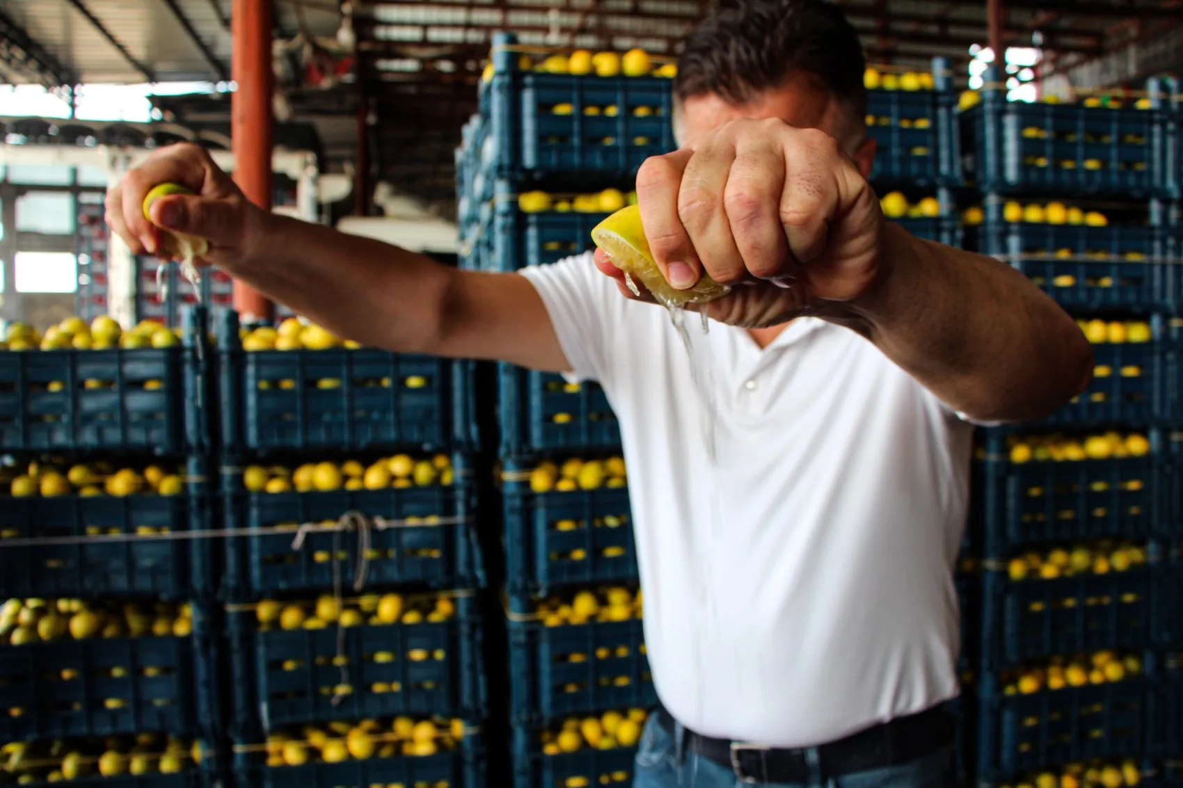 Çiftçinin 5 liraya sattığı limon markette 100 lirayı buldu: Hasat başladı ama yüzler gülmüyor