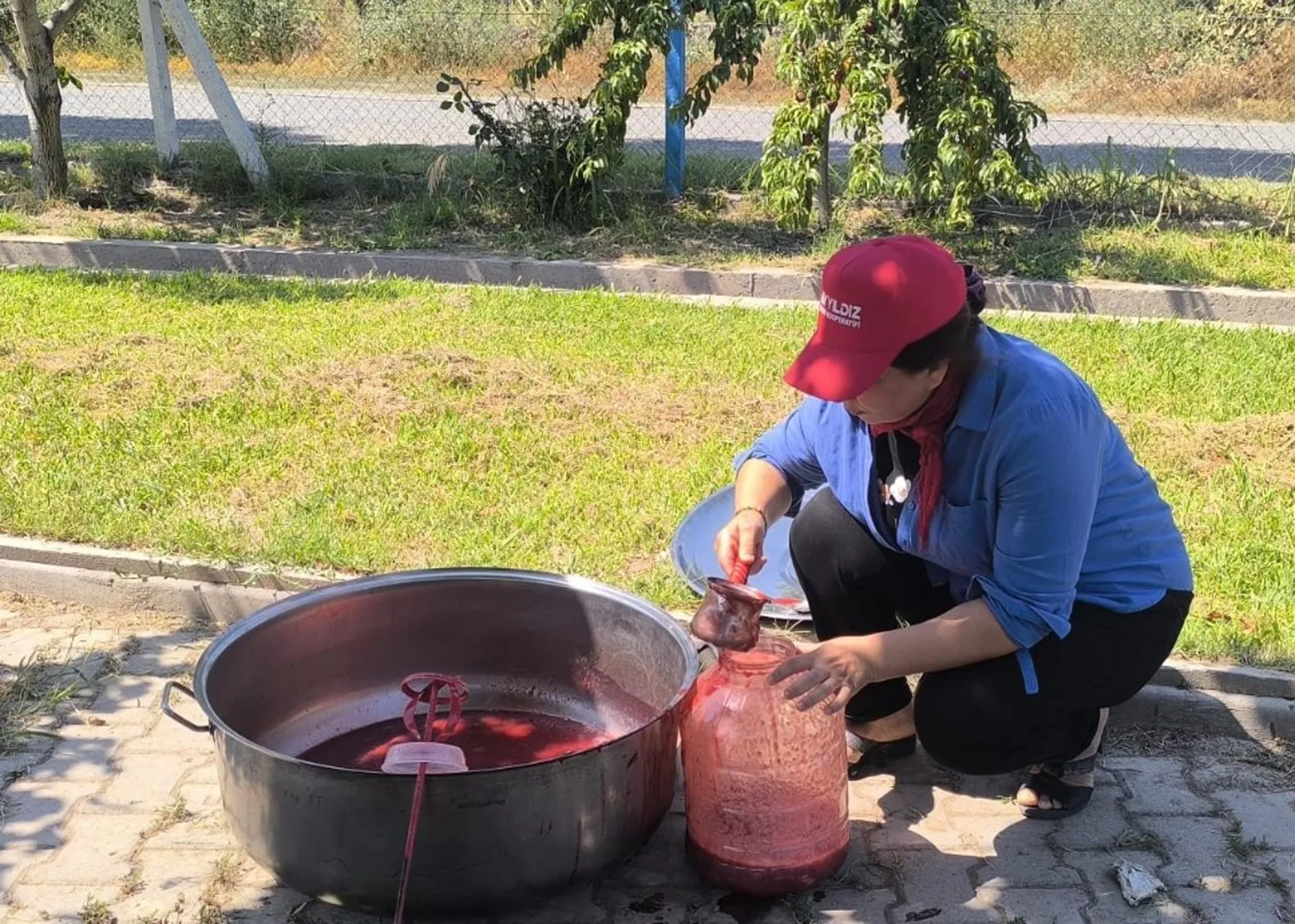 Iğdır'ın Siyah İncisi'nde Hasat Heyecanı: Bu Yılın Gözdesi Sofralara Farklı Formlarda Taşınıyor
