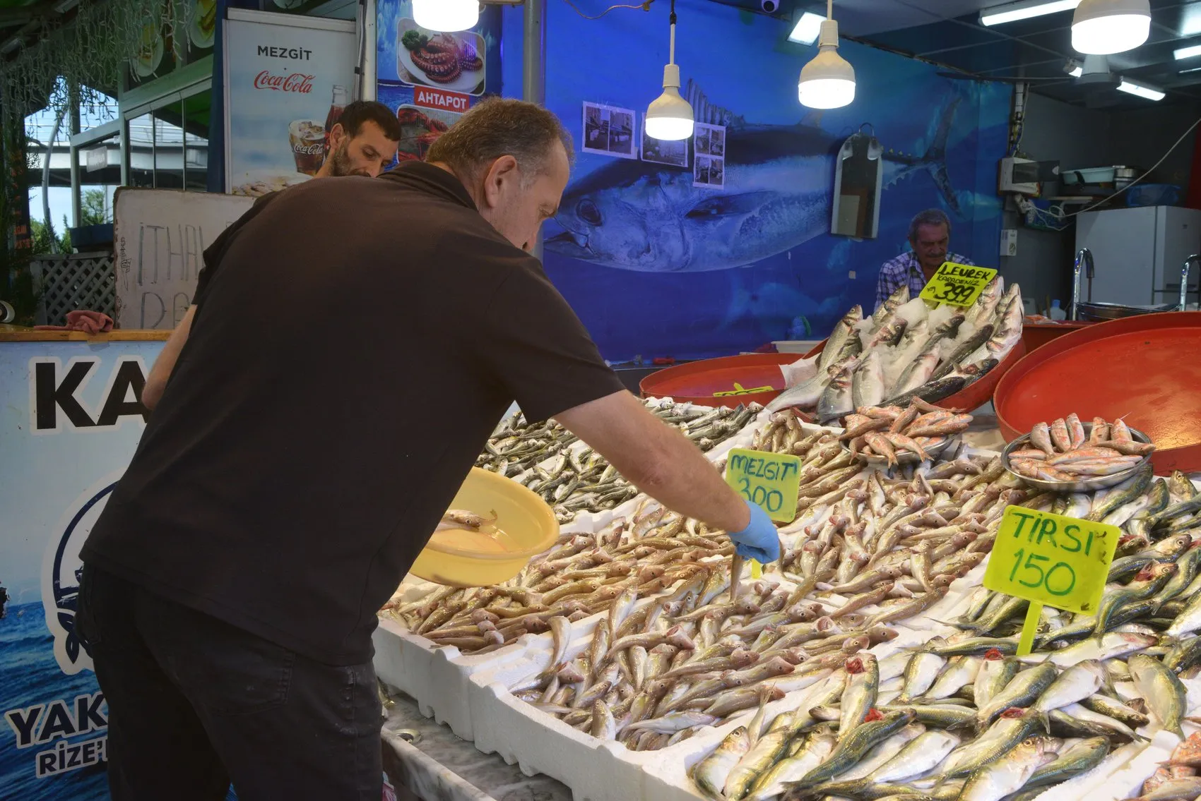 Karadeniz'de ağlar doldu taştı: Rize tezgahlarında sezon bereketi başladı