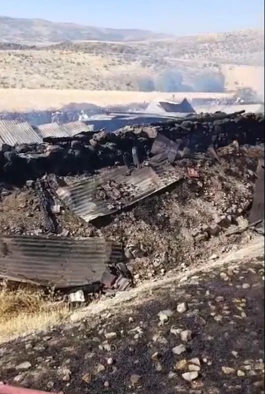 Güdül'de sabah saatlerinde gelen acı haber: Ağıldan geriye sadece küller kaldı