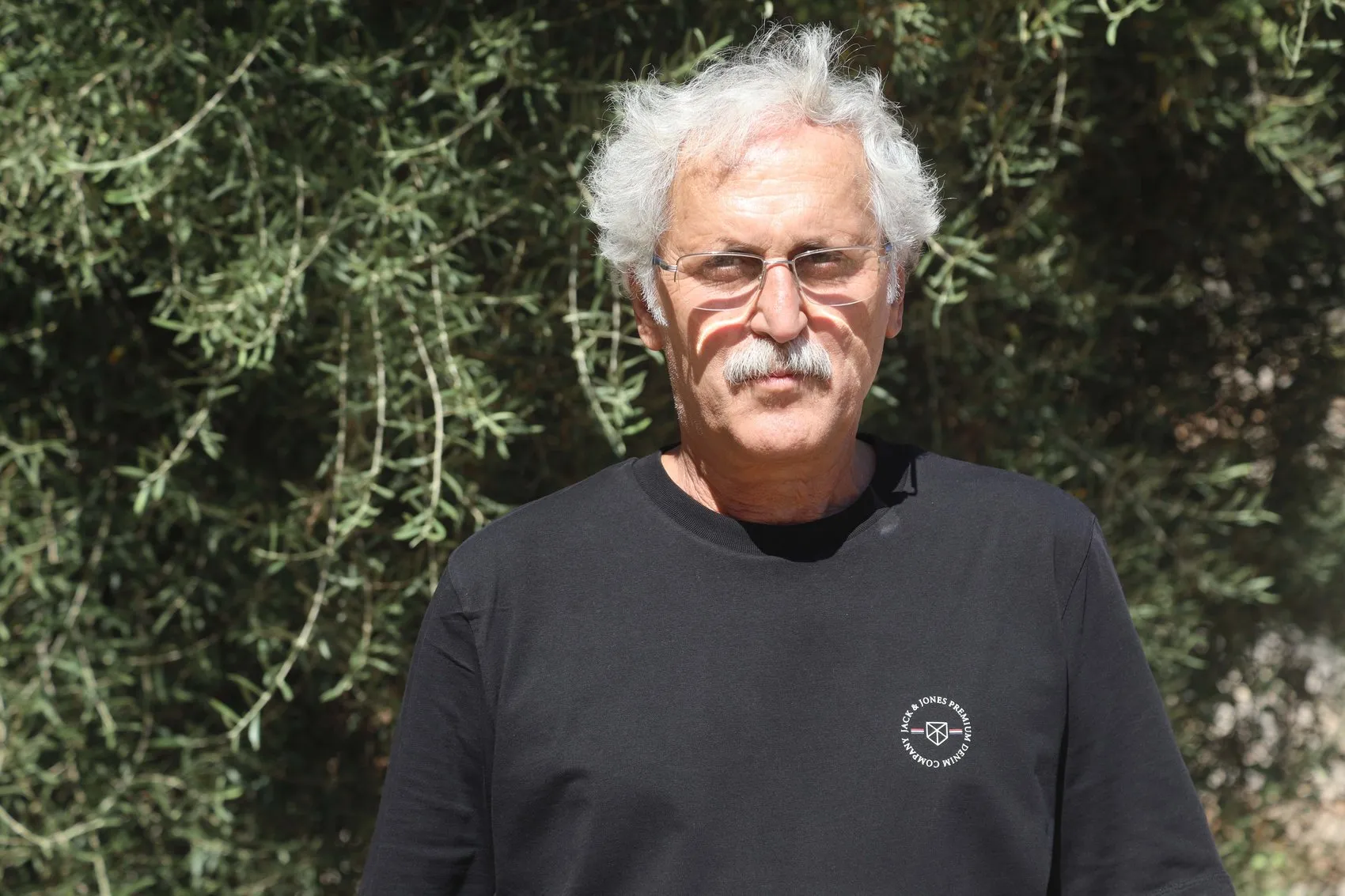 Antik Çağın Zeytin Kraliçeleri: 2 Bin Yıllık Vakıf Yasasıyla Doğayı Korudular