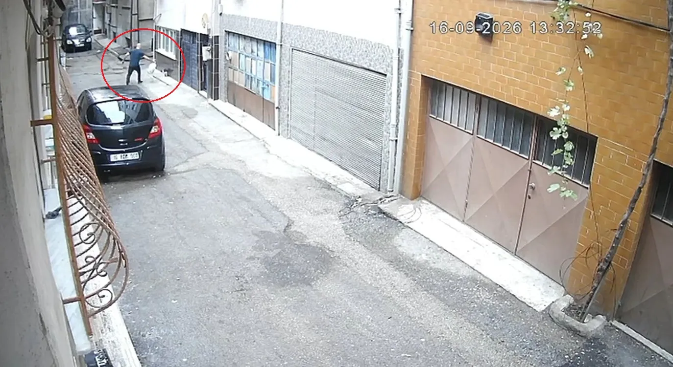 Bursa'da vicdanları sızlatan anlar: Sokak hayvanlarının mama kaplarını çöpe attılar