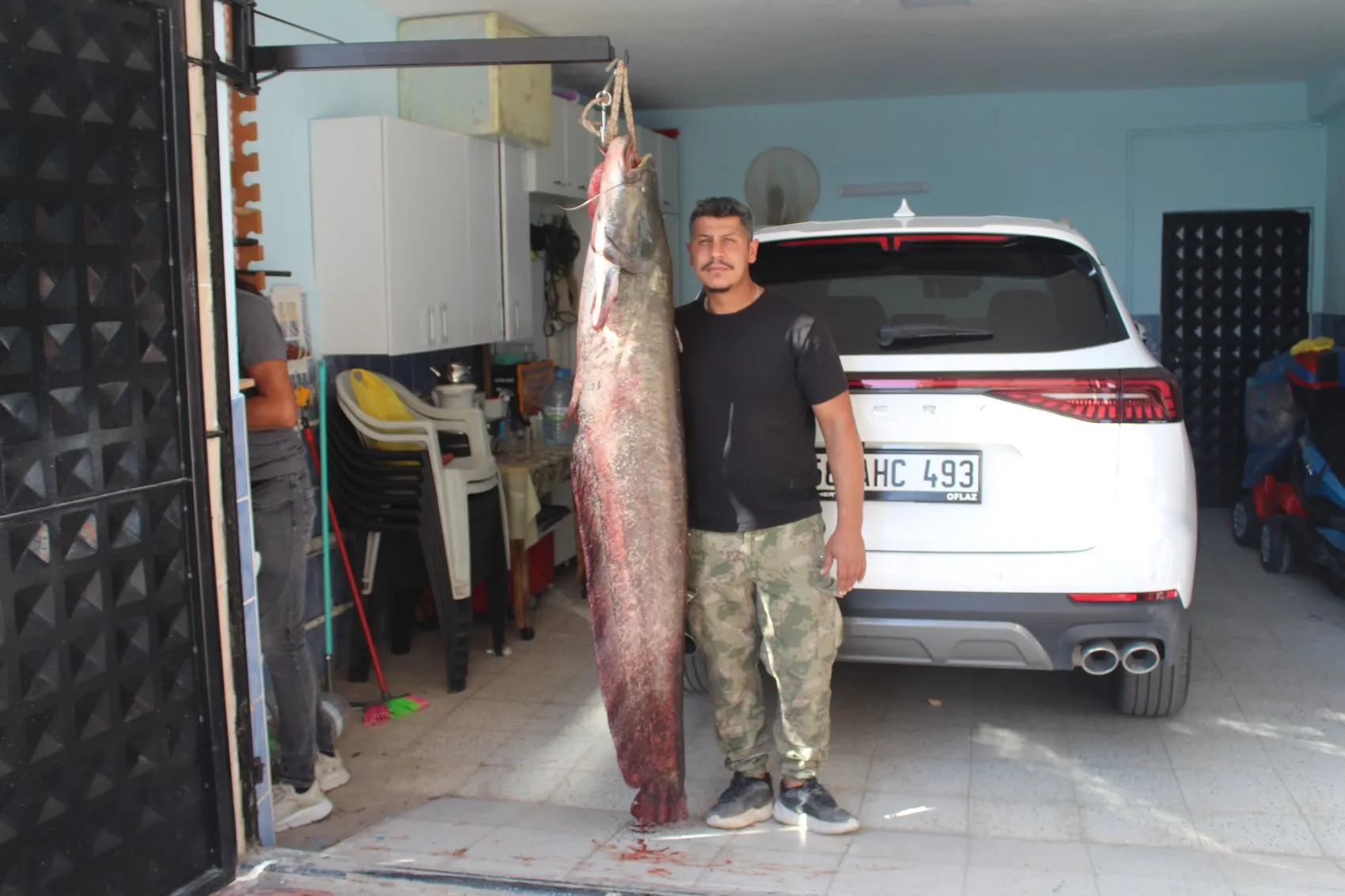 Kızılırmak'ta devasa sürpriz: Oltaya takılan 45 kiloluk dev balıkçıları terletti