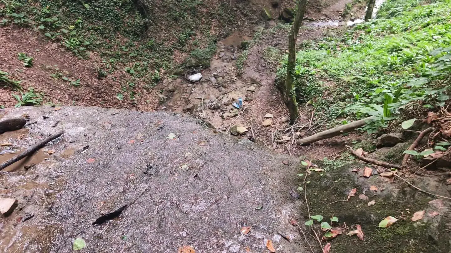 Fındık hasadında acı veda: Yamaçtan düşen üretici kurtarılamadı