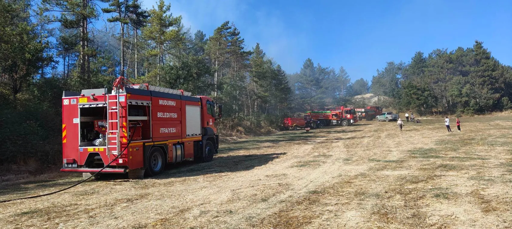 Küçük bir kuşun trajik sonu ormanı küle çeviriyordu