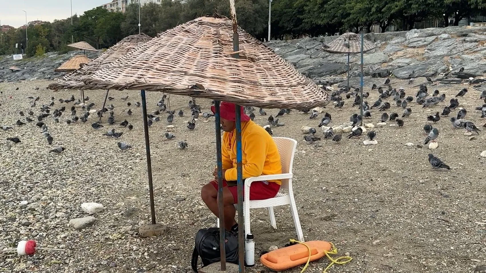 Avcılar sahilinde yaz bitti: İnsanlar çekildi, meydan martılara ve güvercinlere kaldı