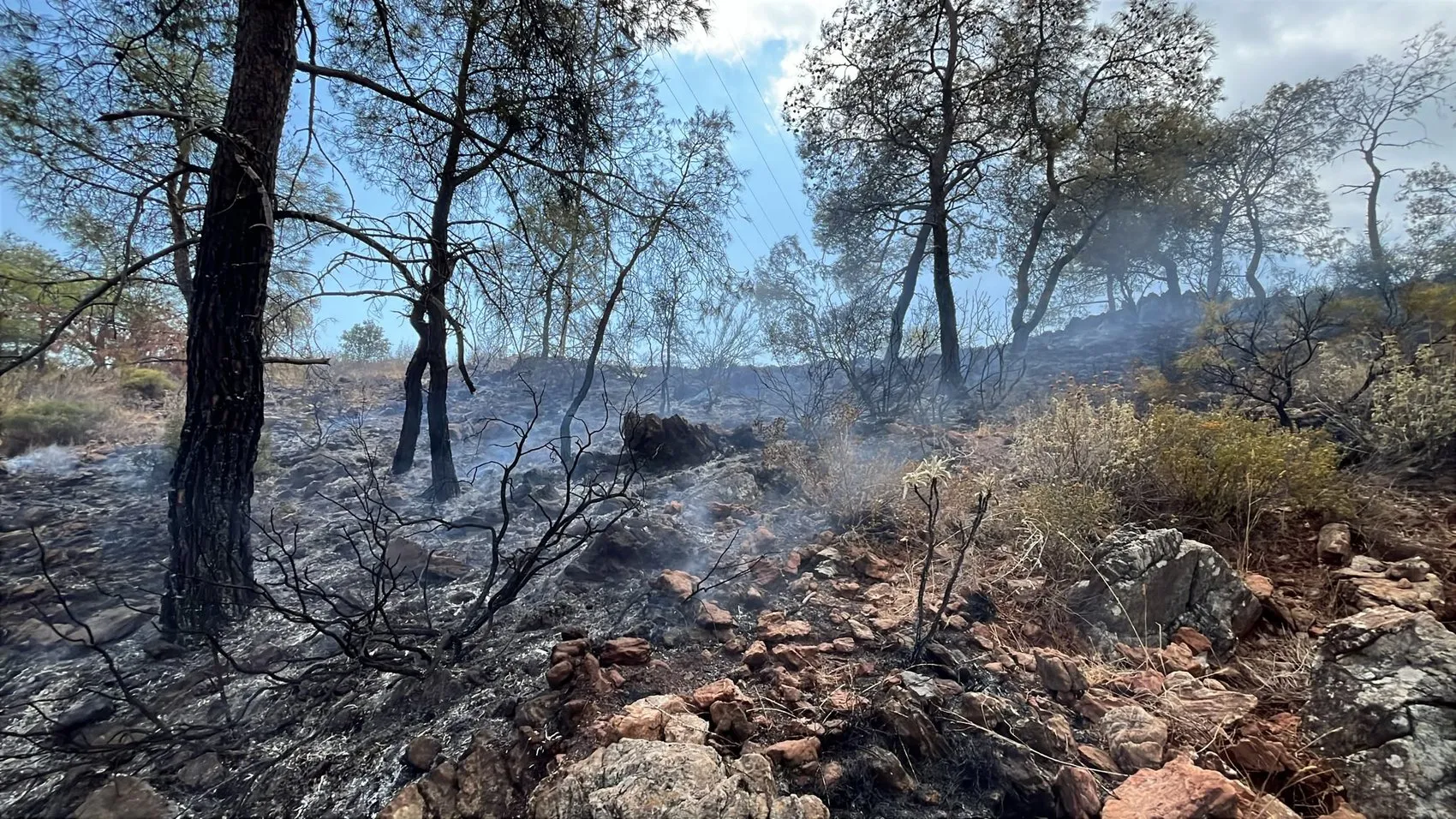 Kemer'de ormanlık alandan yükselen dumanlar korkuttu: Ekipler zamanla yarıştı