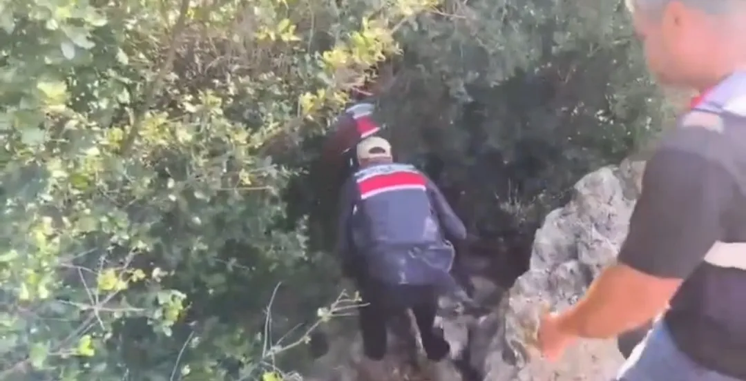 Samandağ'da jandarmadan uyuşturucuya geçit yok: 371 kök kenevir bulundu