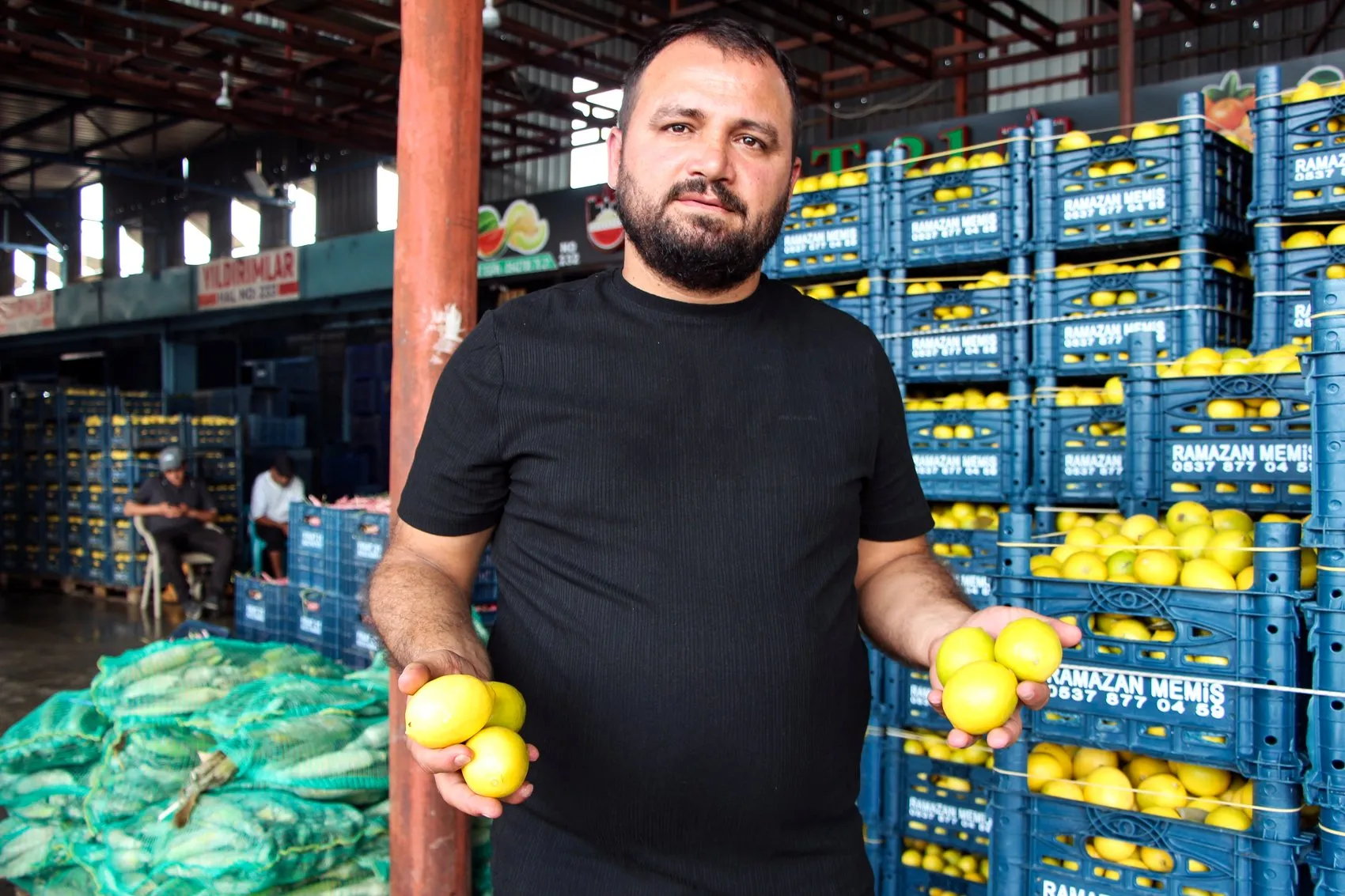 Çiftçinin 5 liraya sattığı limon markette 100 lirayı buldu: Hasat başladı ama yüzler gülmüyor