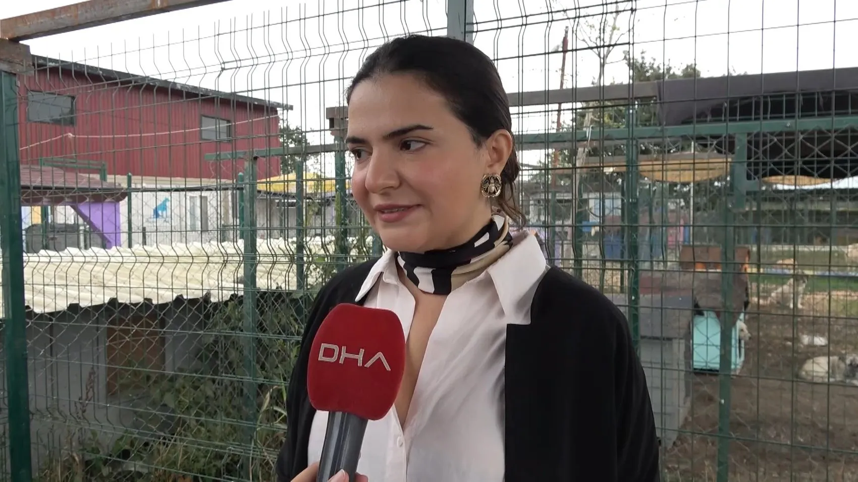 Pire istilasının ortasından kurtarılan köpeğe, hayatını değiştiren avukatın ismi verildi