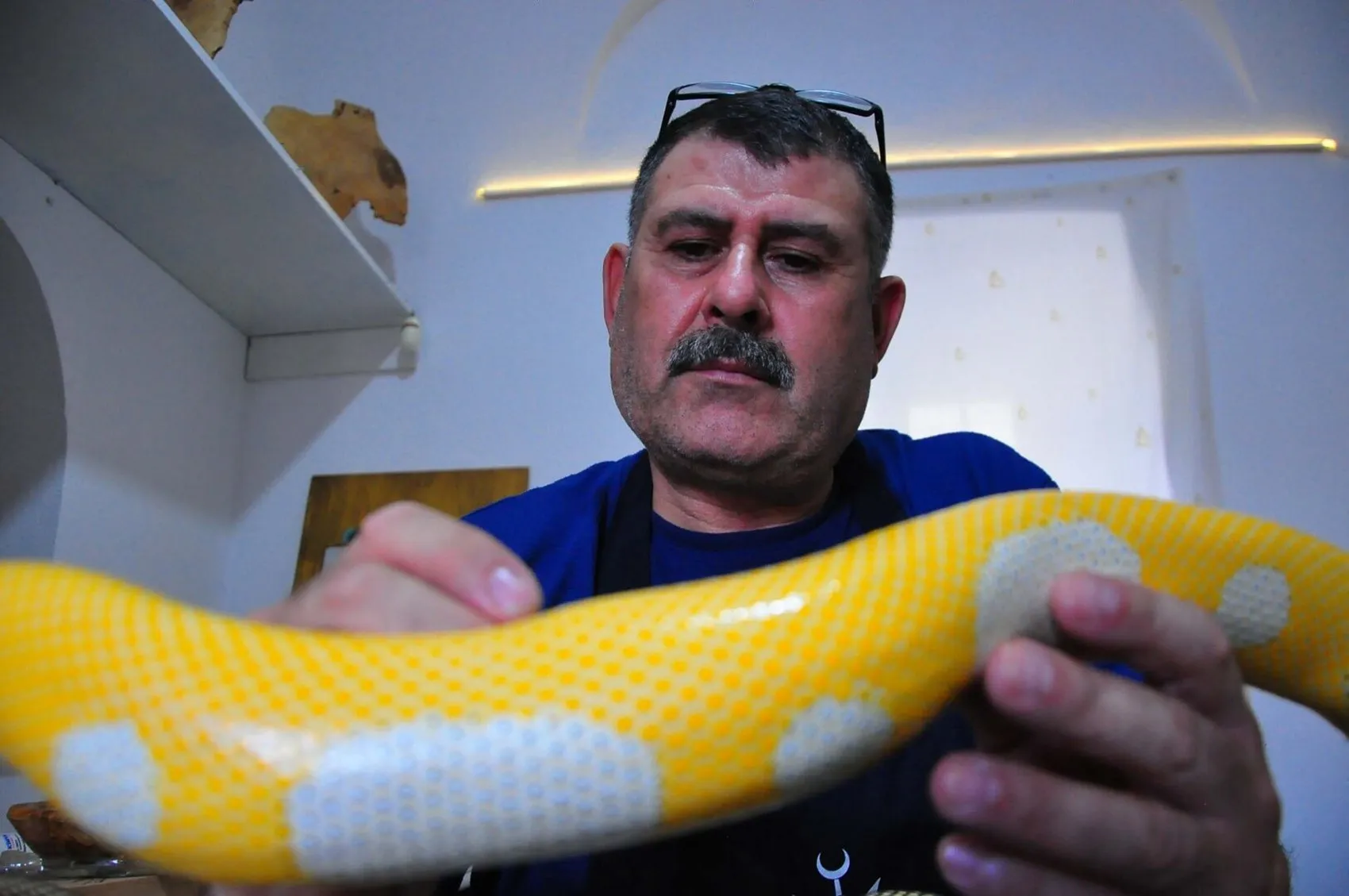 Böbreğini ağabeyine vererek hayata bağladı: Şimdi ise doğanın atıklarını sanat eserine dönüştürüyor