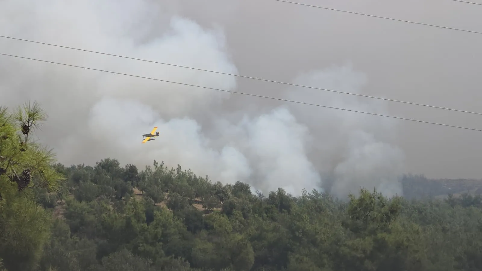 Adana'da alevlerle zorlu mücadele: 835 kişi evlerinden tahliye edildi