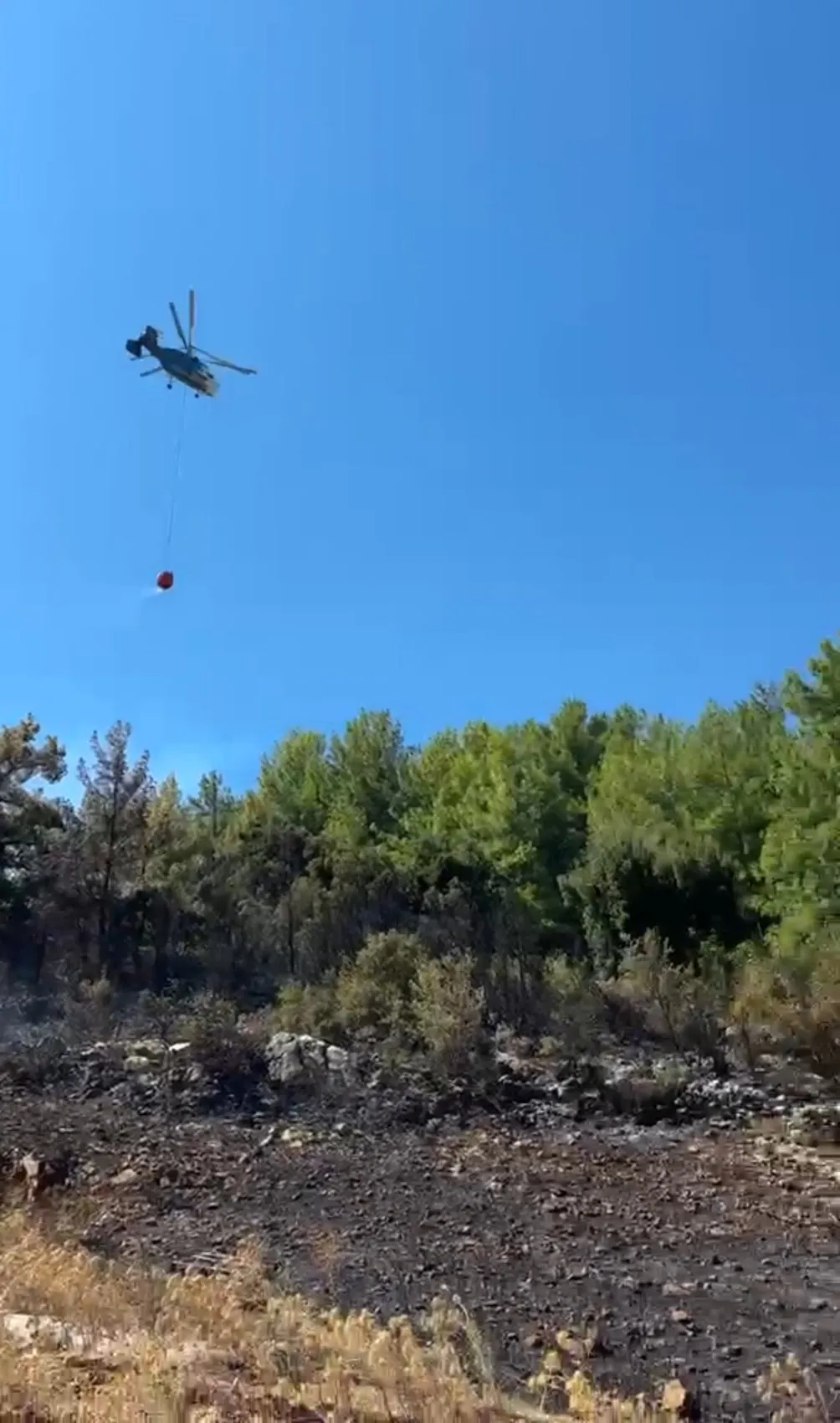 Bucak'ta kızılçam ormanları alevlere teslim oldu