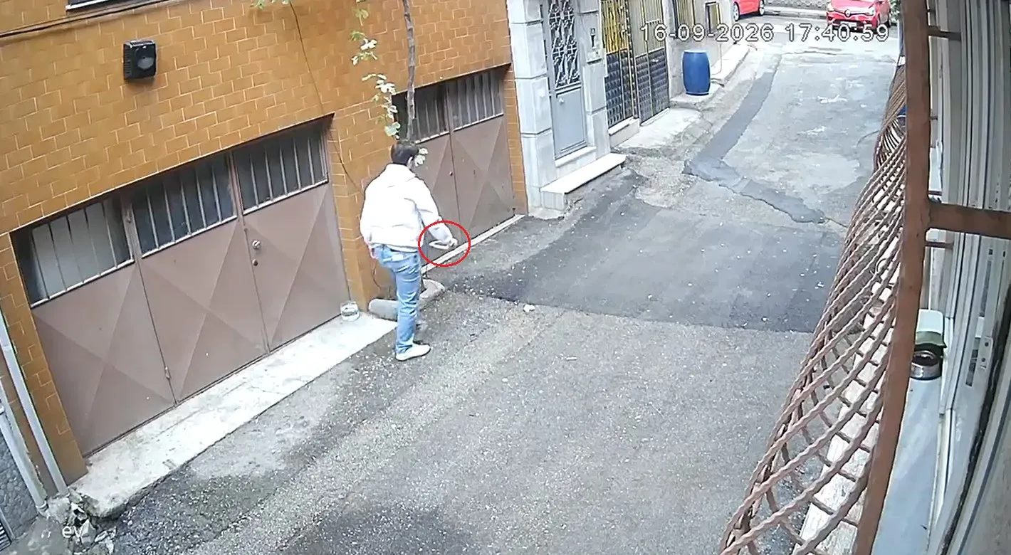 Bursa'da vicdanları sızlatan anlar: Sokak hayvanlarının mama kaplarını çöpe attılar
