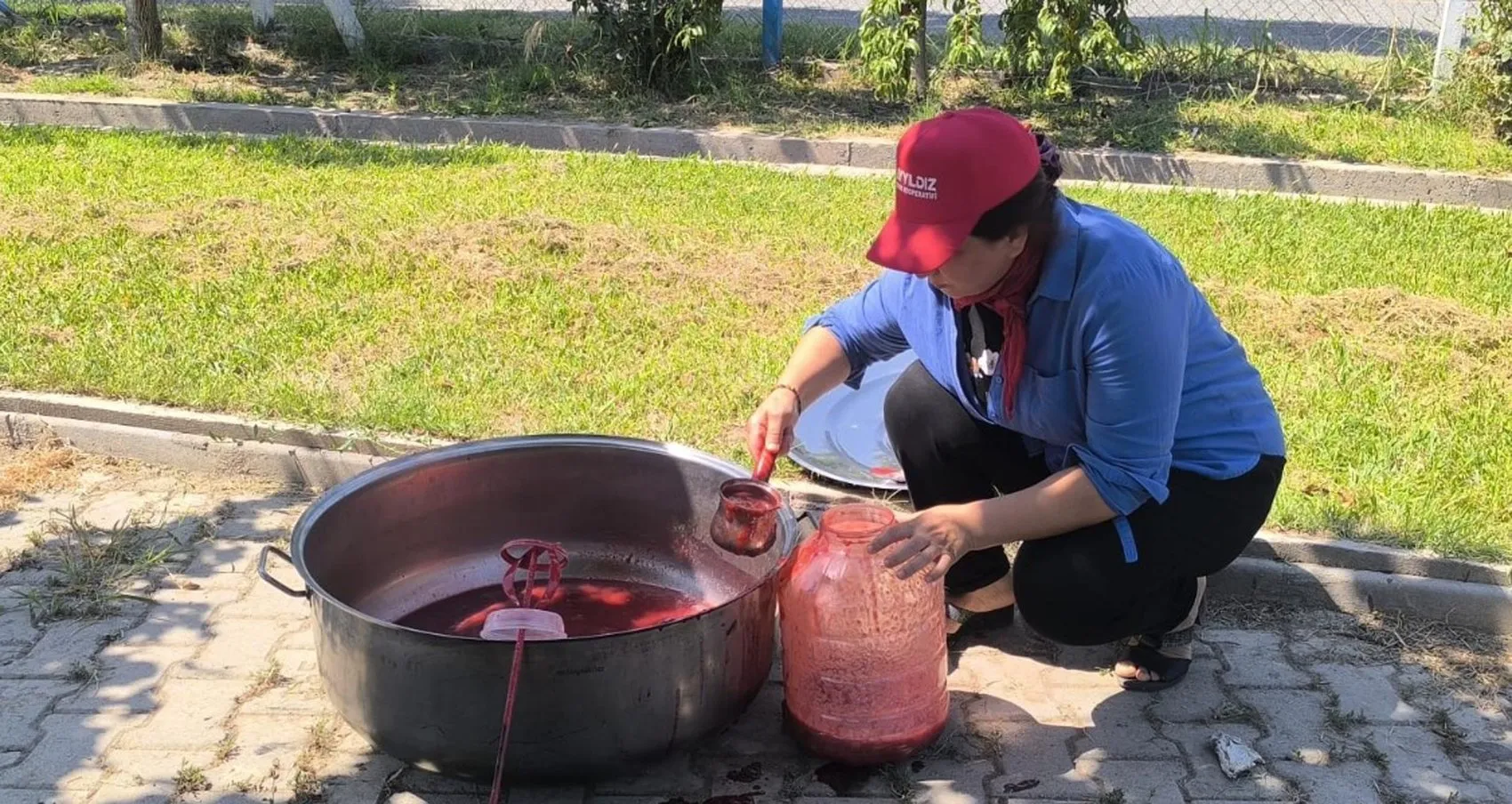 Iğdır'ın Siyah İncisi'nde Hasat Heyecanı: Bu Yılın Gözdesi Sofralara Farklı Formlarda Taşınıyor