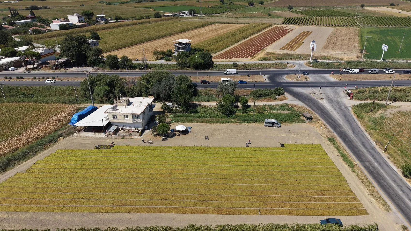 Gediz Ovası'nda hasat bereketi: Yol kenarları doğal sergi alanına dönüştü