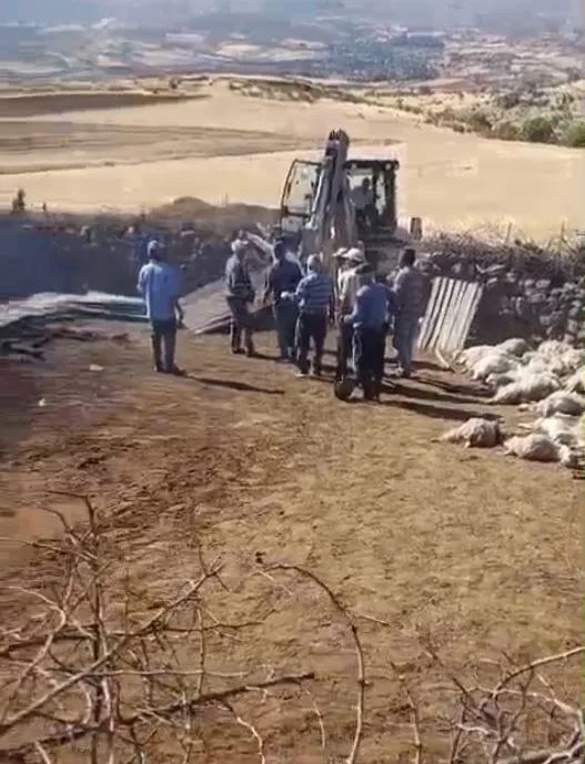 Güdül'de sabah saatlerinde gelen acı haber: Ağıldan geriye sadece küller kaldı