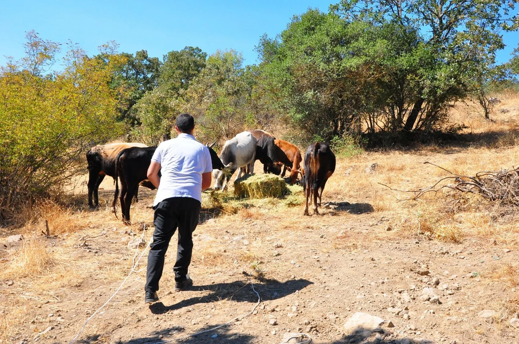 Dağlarda beş ay süren kovalamaca: Kementle gelen mutlu son