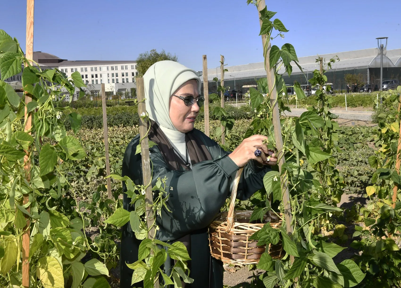 Anadolu'nun kadim tohumları Ankara'da hayat buldu: Emine Erdoğan'dan özel ziyaret