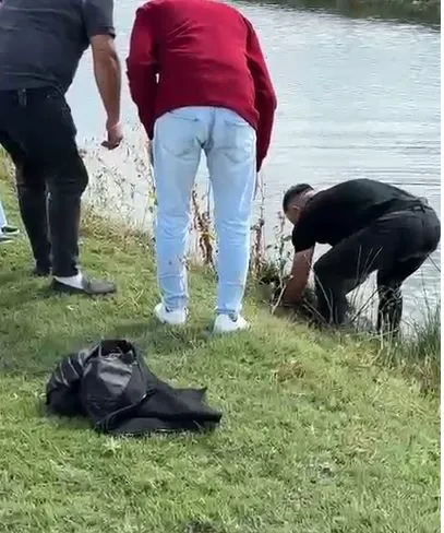 Hürmetçi Sazlığı'nda kahramanlık mesaisi: Manda yavrusunun imdadına yetişti