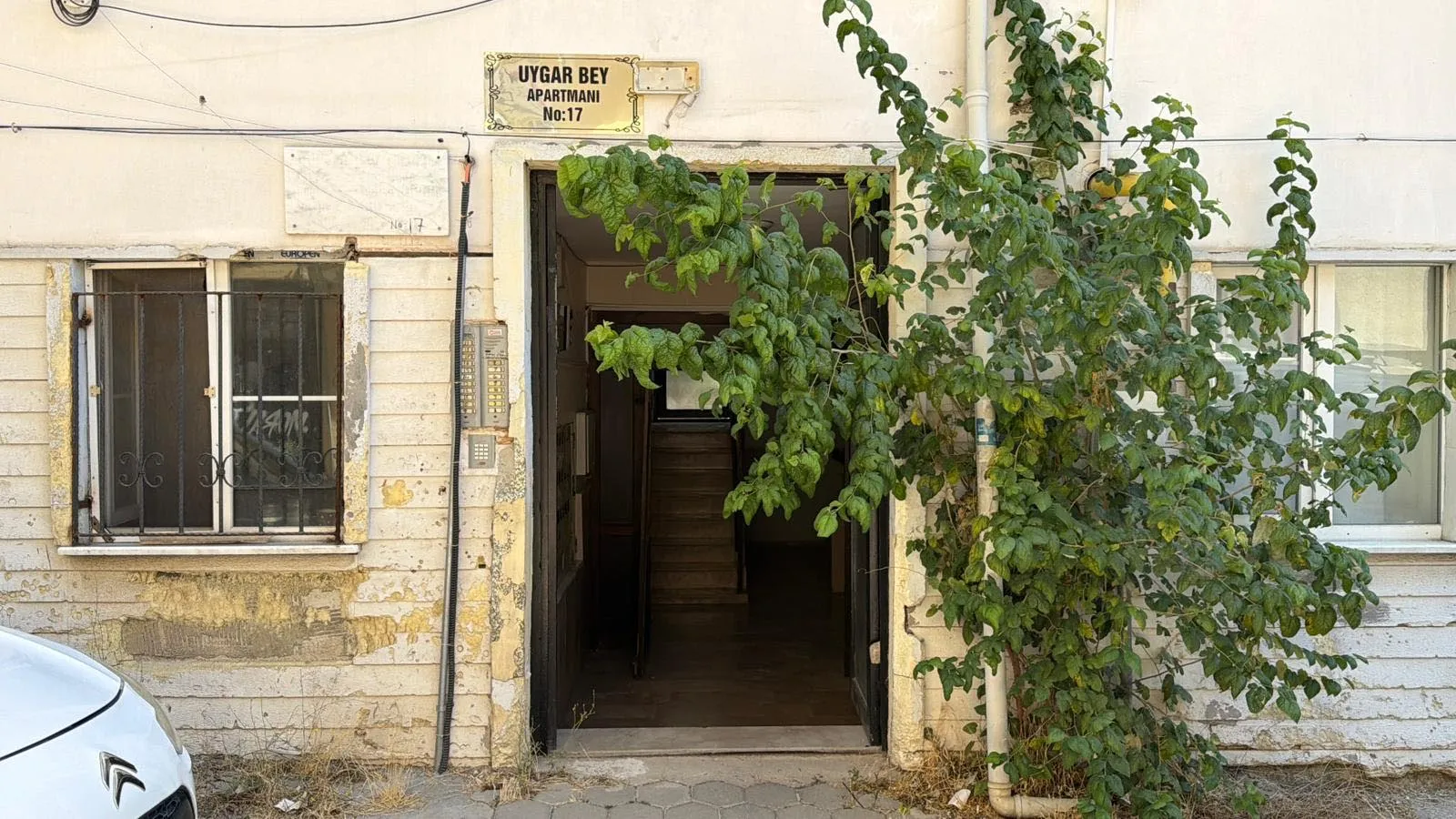 Anadolu Üniversitesi'nde hüzünlü veda: Genç akademisyen evinde ölü bulundu