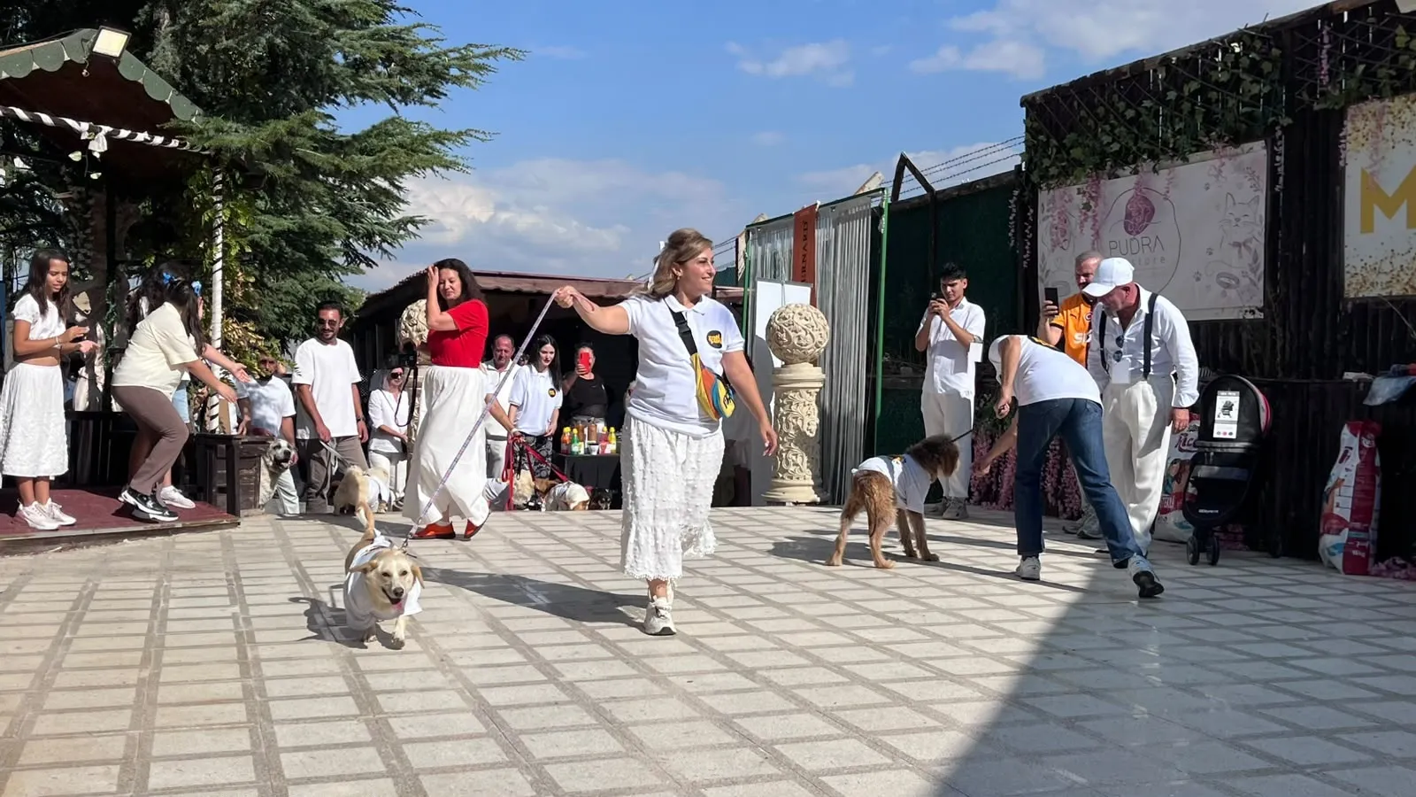 Barınak sakinleri için podyum kuruldu: 19 can dostu yeni yuvasına kavuştu
