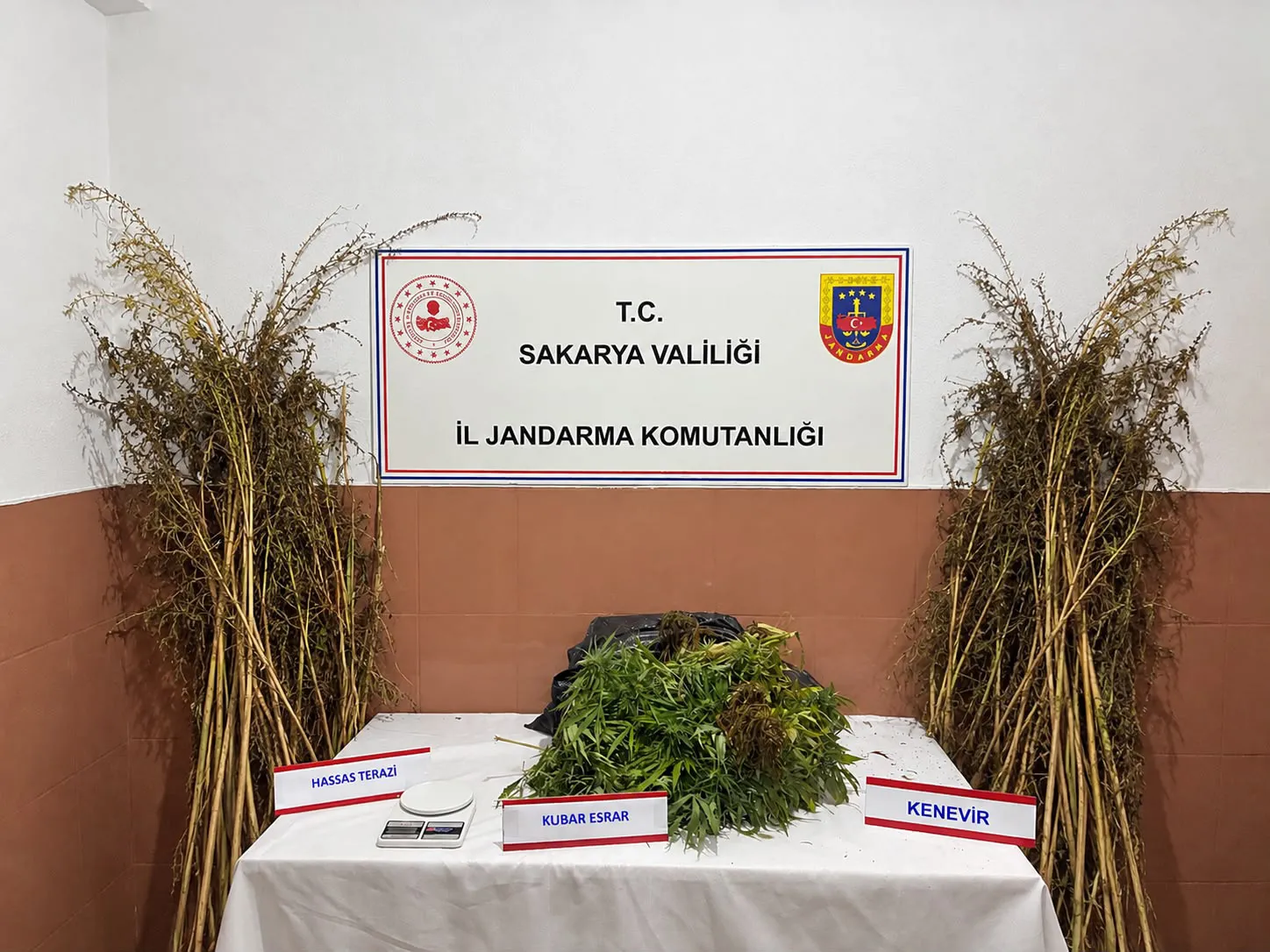 Sakarya'da jandarmadan eş zamanlı darbe: Uyuşturucu tacirlerine geçit yok