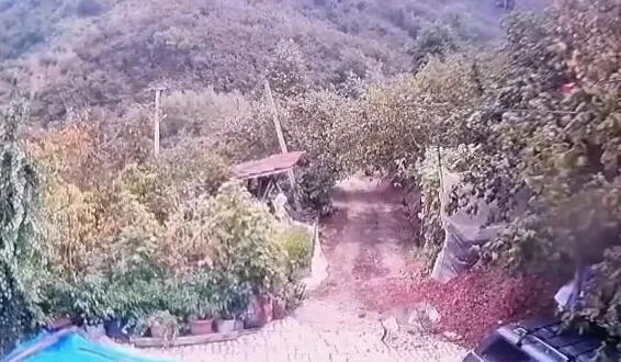 Akçakoca'da korku dolu anlar: Bahçedeki köpeği saniyeler içinde kaptı
