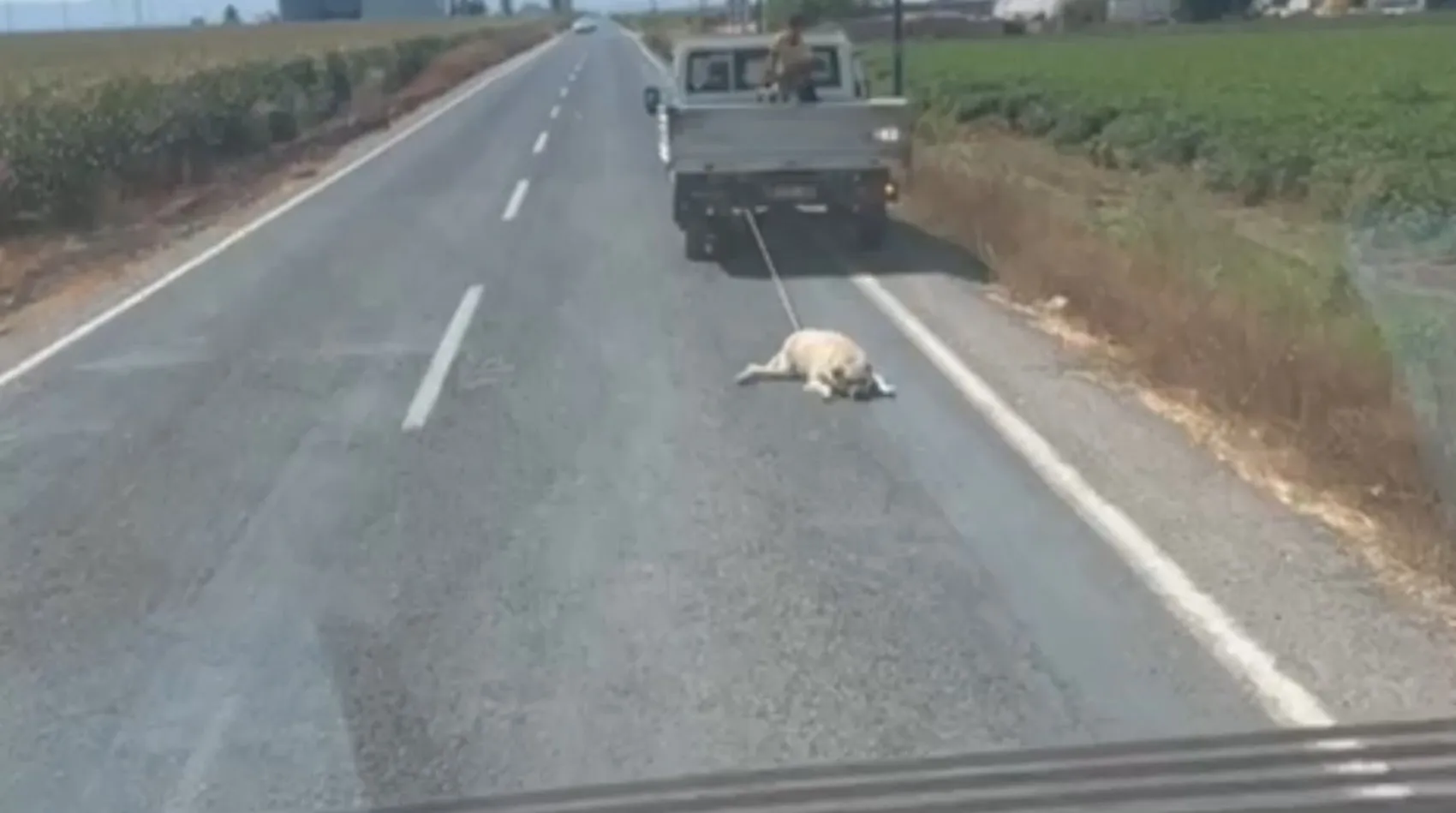 Şanlıurfa'da vicdanları sızlatan görüntü: Kamyonetin arkasında sürüklenen köpek için soruşturma başlatıldı