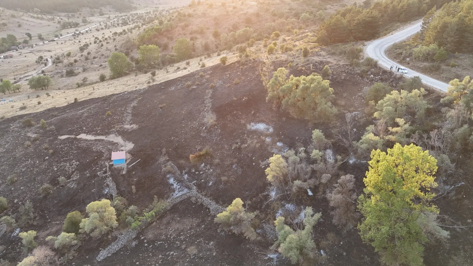 Gerede'de korku dolu anlar: Tarladan ormana sıçrayan alevler köylüleri tedirgin etti