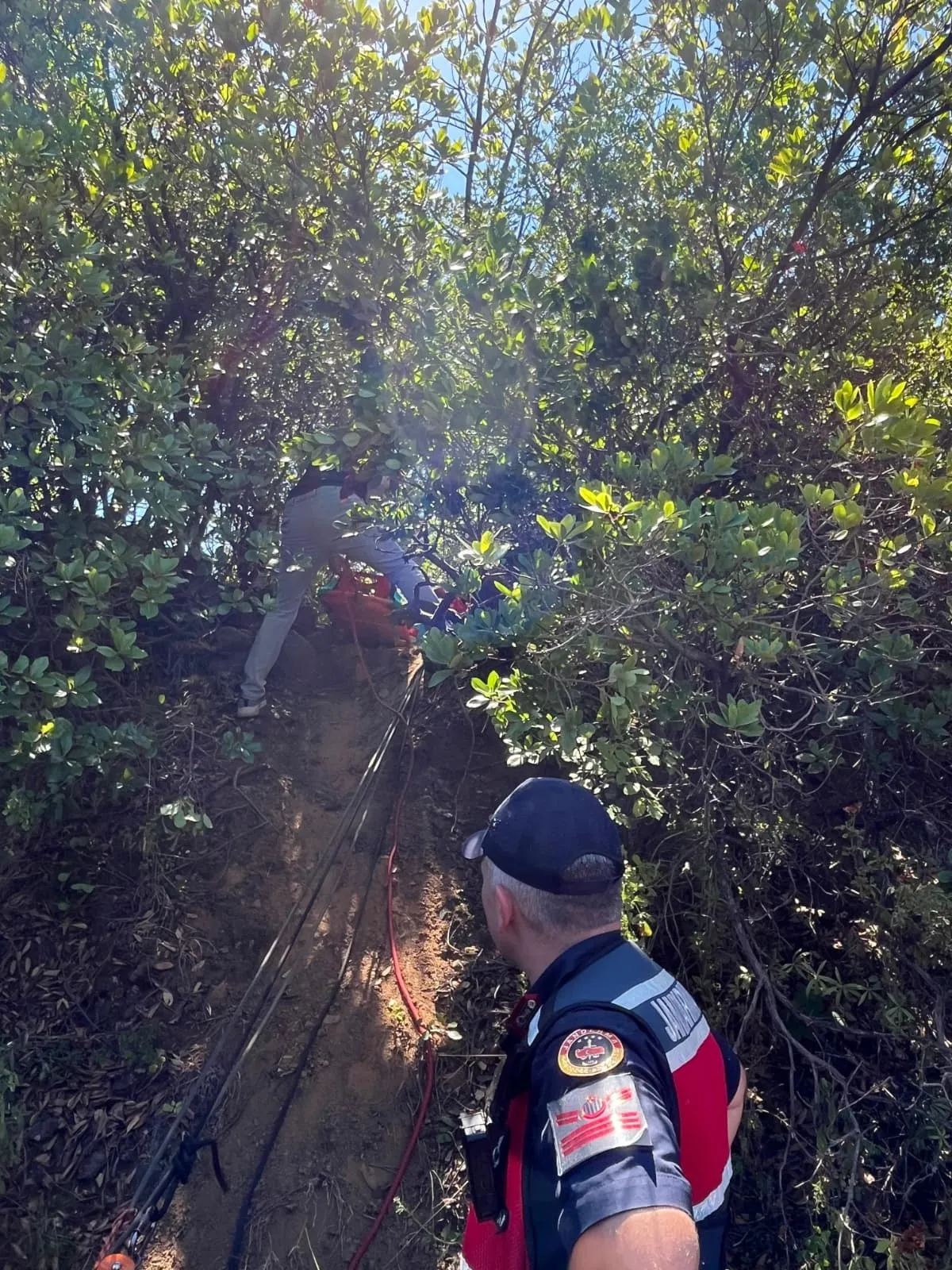 Yalova'da ormanlık alanda korku dolu anlar: 76 yaşındaki doğasever ölümden döndü