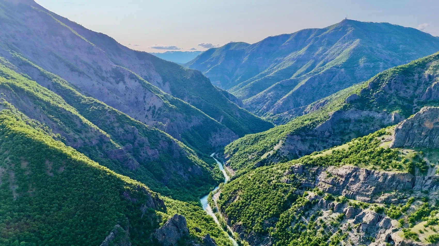 Tunceli'nin endemik hazinesine dokunmanın bedeli ağır oldu: 3 kişiye milyonluk fatura