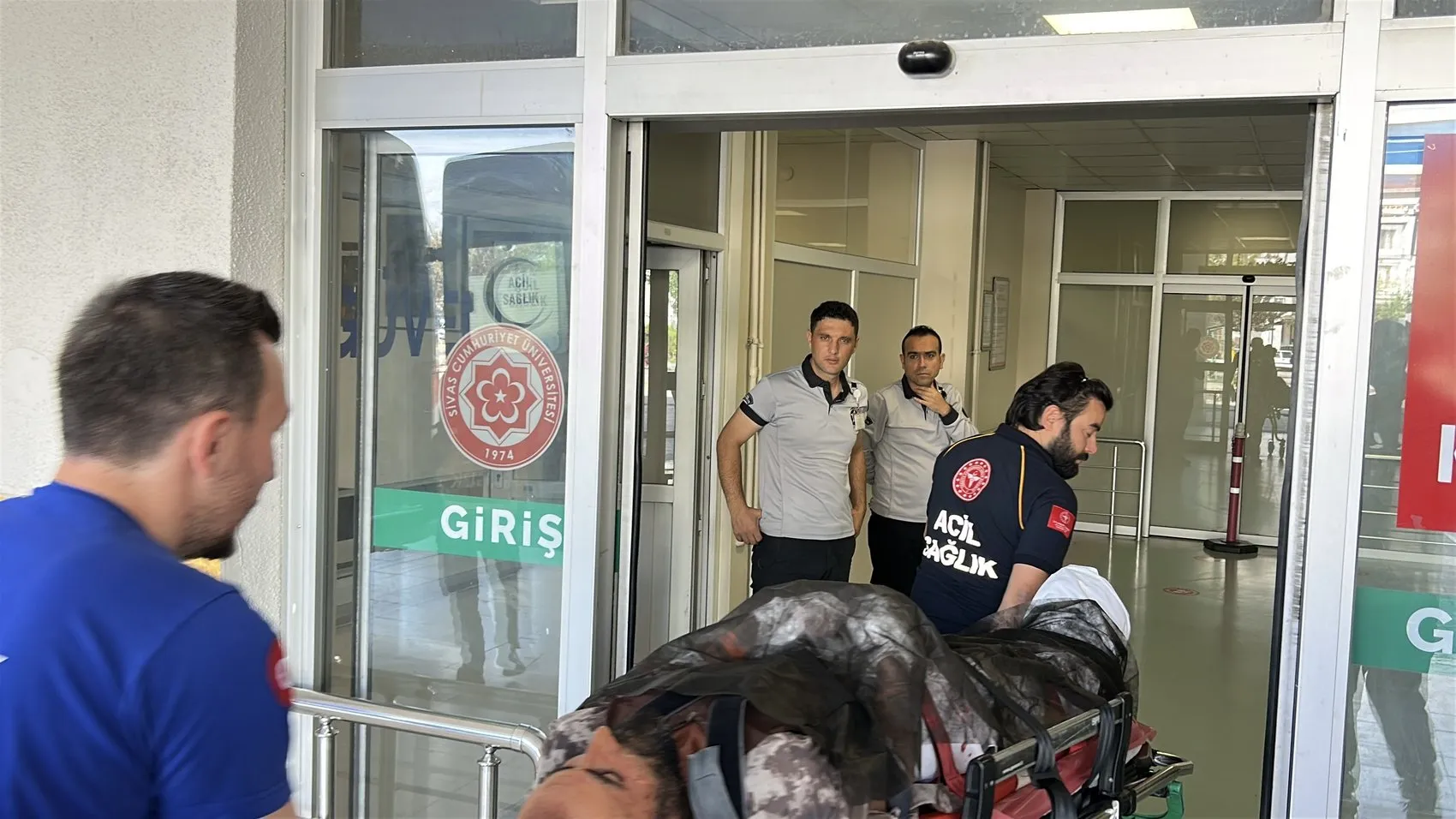 Sivas'ta dehşet anları: Yaylada otlayan hayvanların arasında ayı dehşeti yaşandı