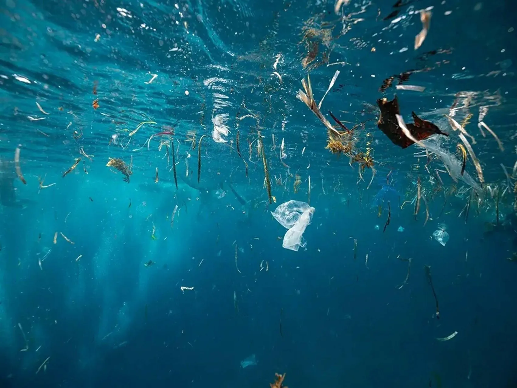 Gezegenin plastik kabusu: 2060 yılına kadar üç katına çıkacak devasa bir tehditle karşı karşıyayız