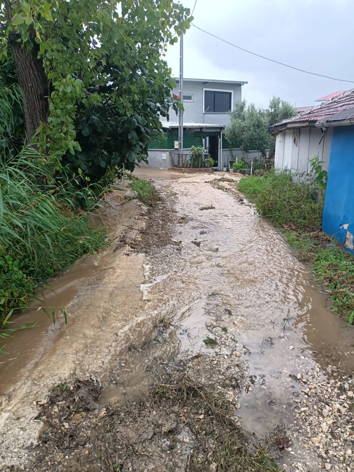 Mudanya'da kabus dolu saatler: Mahsur kalanlar için zamana karşı yarış