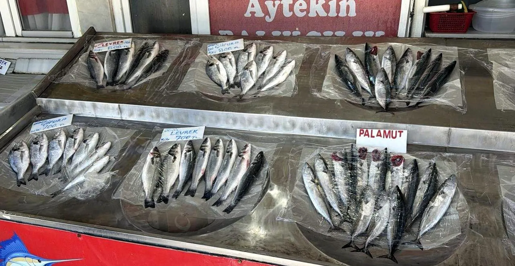 Marmara'da sezonun ilk müjdesi: Palamut ağları doldurdu, tezgahlarda fiyatlar belli oldu