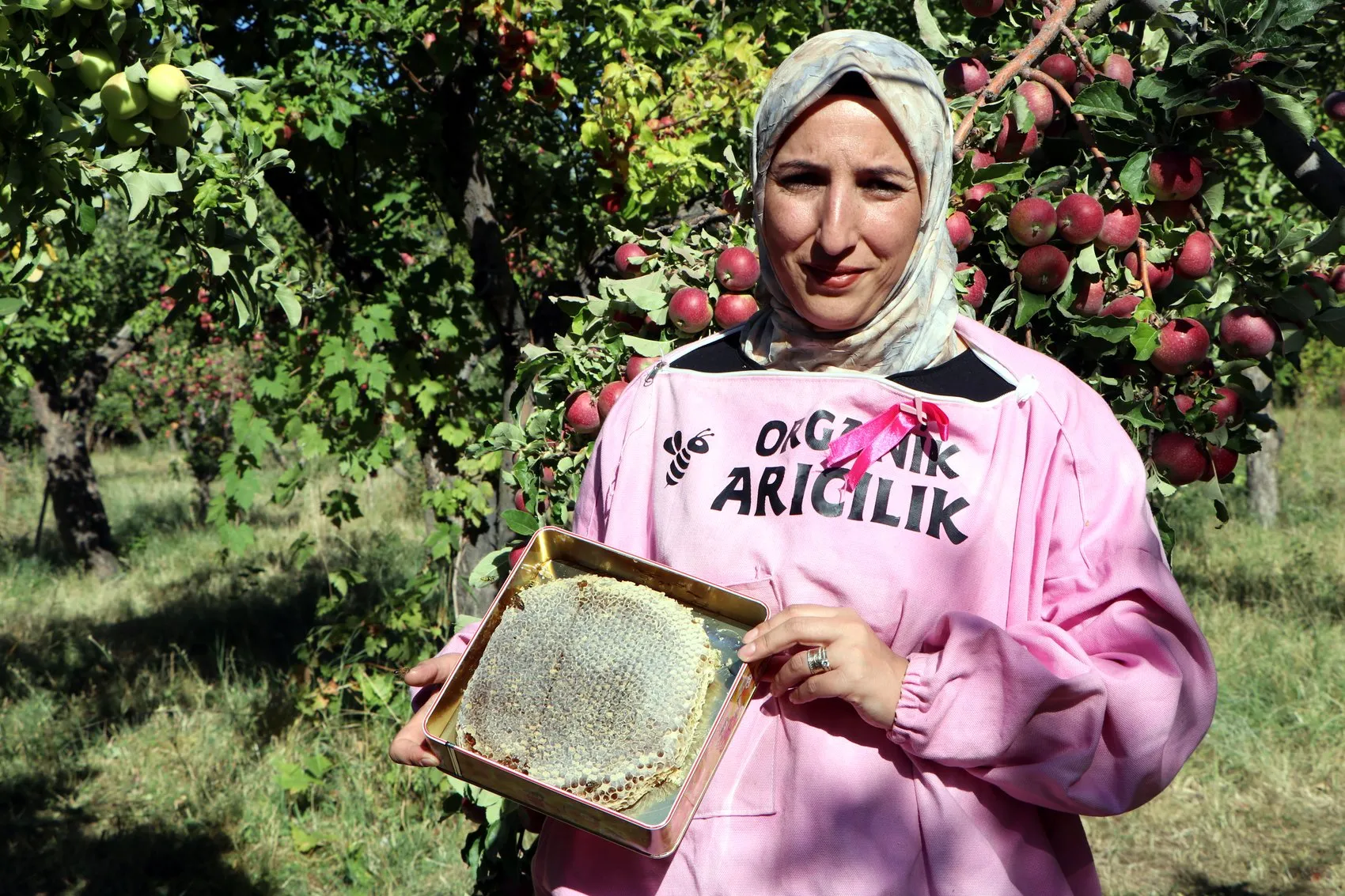 Artos Dağı'nın Pembe Maskeli Kadınları: Geleneksel Kara Kovan Balında Hasat Heyecanı