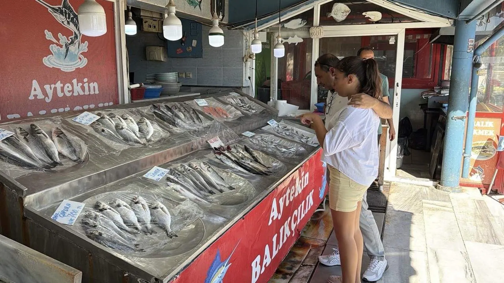 Marmara'da sezonun ilk müjdesi: Palamut ağları doldurdu, tezgahlarda fiyatlar belli oldu