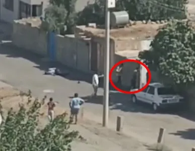 Kızıltepe'de dehşet anları: Vurdukları adamın başında soğukkanlılıkla kovan aradılar