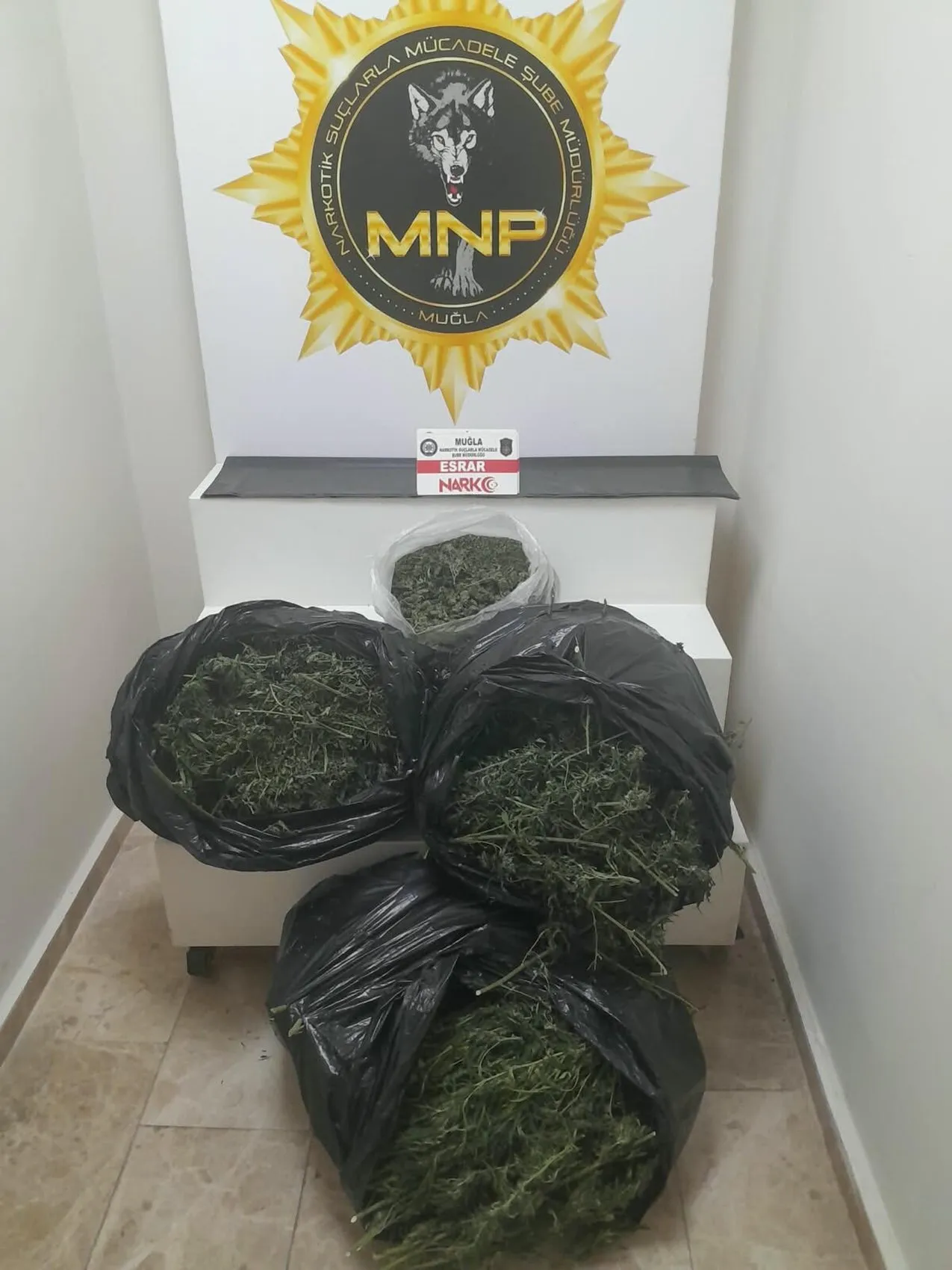 Bodrum ve Yatağan'da zehir tacirlerine ağır darbe: 13 kilograma yakın uyuşturucu ele geçirildi