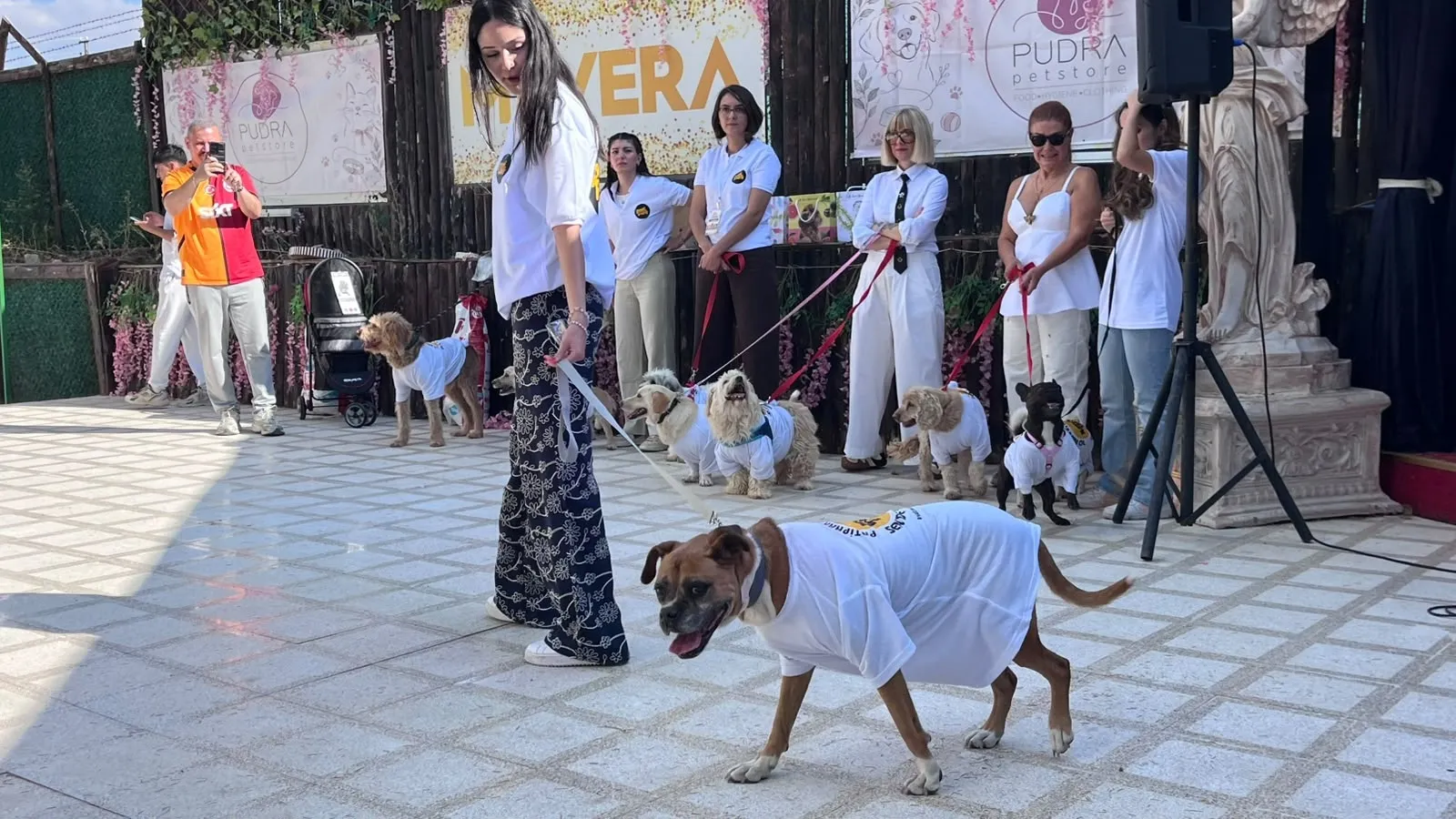 Barınak sakinleri için podyum kuruldu: 19 can dostu yeni yuvasına kavuştu