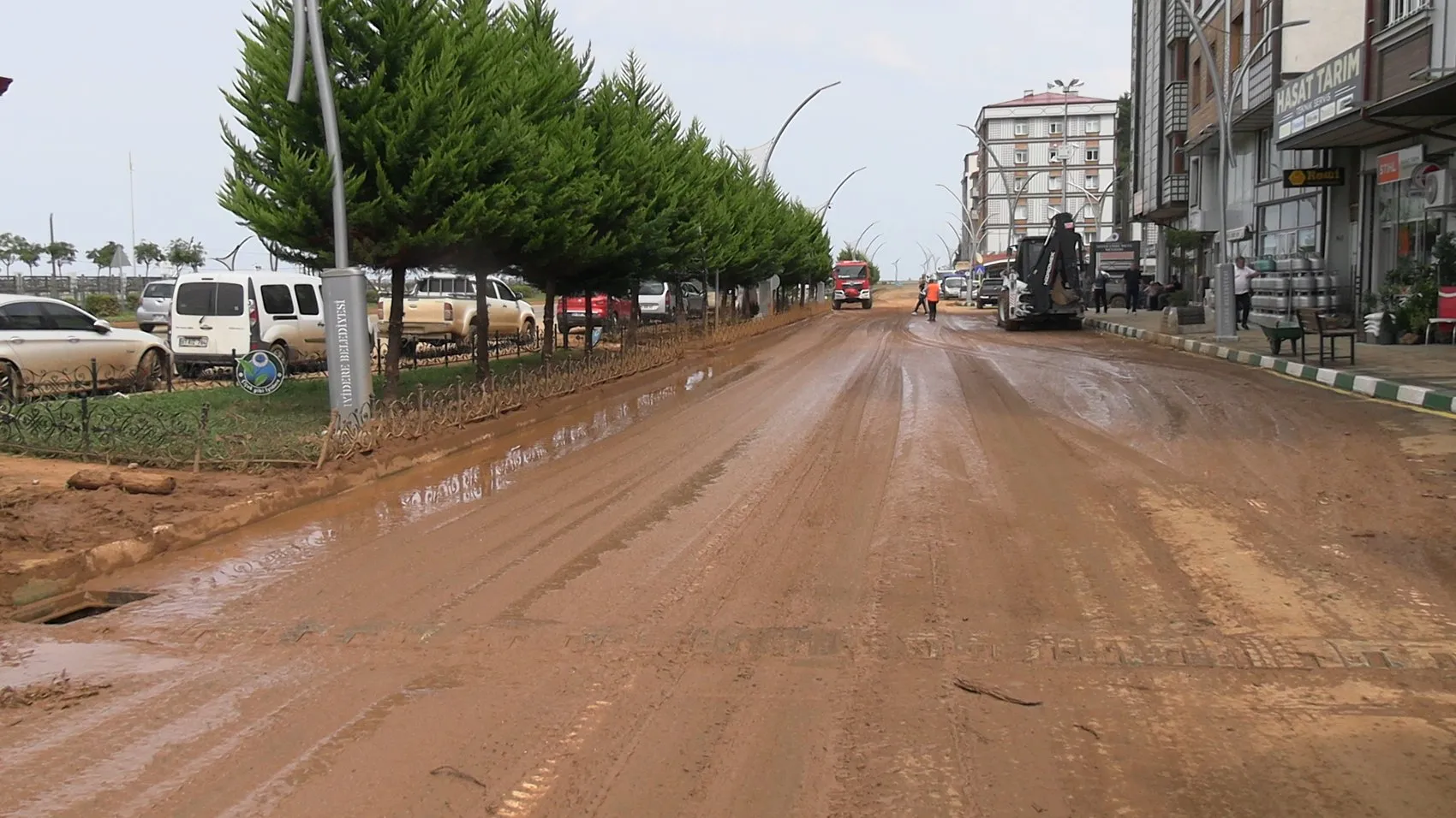 Doğa felaketine meydan okuyan Rize: Çamur deryasında çay hasadı