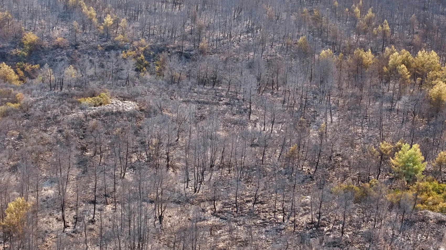 Antalya Aksu'da orman yangını kabusu: Binlerce hane karanlığa gömüldü