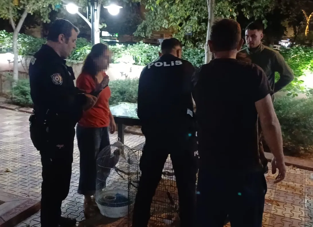 Sosyal medyadan papağan pazarlığına ağır fatura: Otel odasında suçüstü yakalandı