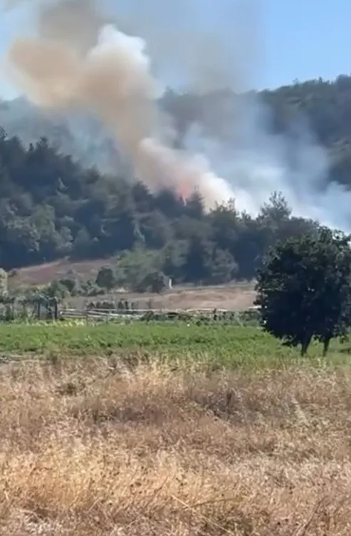 Bursa Kestel'de ormanlık alanda korkutan dumanlar yükseliyor